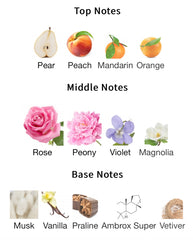Fleur Majesty Rose Royale | 31